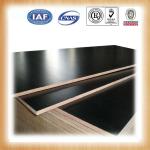 Provide the high quality 18mm brown phenolic film faced plywood manufacturers-GIGASY00088