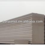 Autoclavd lightweight concrete ALC panel-