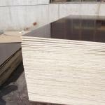 formwork plywood-1220X2440/1250X2500