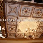 Ceiling lighting panel-