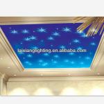 2014 Made in China Customizable Size Cheapest Remote control RGB sky star ceiling design for home,hotel lighting decoration-ceiling design-2013121702