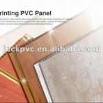 Artistic PVC Ceiling Designs-