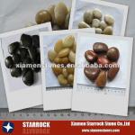 Natural polished pebble/pebble stone-CB101