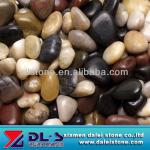Mixed Color Flat Pebble River Stone-DL