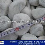 Garden Decoration Cheap Natural Tumbled Snow White Pebble Stone-LS Pebble