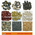 Natural Polished Pebble Stone (Hot Sale)-PPS-008