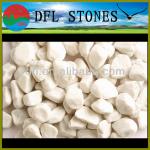 hot sale snow white pebble stone with competitive prices-YXB002