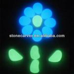 Night glow in the dark stones-GS010006