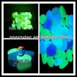 solar garden/garden glow in dark pebbles-ANJ