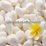 Natural Round Snow White Pebbles-5mm-40mm (as your requirement)