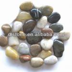 Natural Multicolor pebble stone-