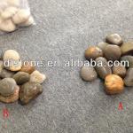 Mixed Color Polished Pebbles for Landscaping Paving-DL-Pebbles
