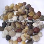 Competitve price Mixed Color Flat Pebble River Stone-DL-
