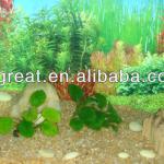 Aquarium Cobble Stone-HK