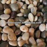 Garden Landscaping Polished Pebble Stone For Sale-PS19608