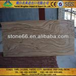 CHINA driveway paving stone HOT SALES-LXY032
