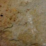 Yellow Sandstone Mushroom Color Tile-