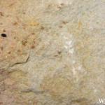 Mushroom Color Sandstone Tile-