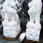 Marble Lion-PL MLO