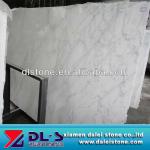 Competitive Price Carrara White Marble-DL-Carrara-W