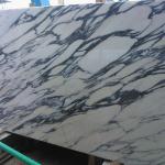 Best Price Reliable Quality Arabescato Marble Tile-Arabescato