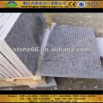 laizhou kingstone limestone flooring-lx-001