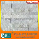 Factory-provided White Slate Shop Cladding Stone-CSP
