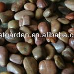 Red Polished pebble stone,Red river pebble stone-EG-RP001