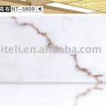 Popular Acrylic Decorative Alabaster Stone Panel in Asia-NT-5809