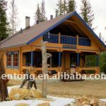 Two-storey Family Prefab Wooden Villa-STK038