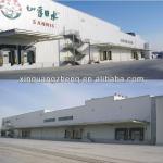 light large span construction steel structure plant workshop-Steel Workshop Plant