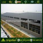 Steel structural warehouse / workshop / factory-LS-JL-SW007