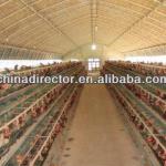 Low cost steel building prefabricated sheds, industrial shed, steel warehouse-SS-1169