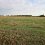 500 ha farm for sale Russia close to Kaliningrad-