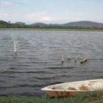 Shrimp Farm for Sale -Costa Rica-Shrimp Farm for Sale -Costa Rica