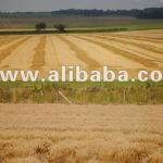Agriculture land-