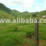 FARM LAND FOR SALE IN Brazil-
