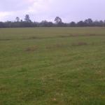 FARM FOR SALE IN SOUTHERN CHILE, 850 ACRES-1