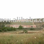 Farm For Sale-20 Organic Hectares-