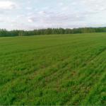 4247 ha crop - and dairy farm in Russia close to Tver-