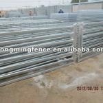 High qaulity welded galvanized sheep corral panel-xm-004