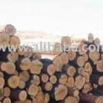 round timber-2.3 Class