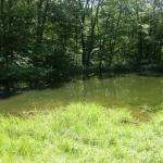 27.5 wooded acres in Pocono Area of PA-Pocono Mountains of PA