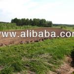 Agricultural Land in Tver, Russion Federation-