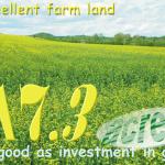 Farm Land Plot in Bulgaria - Excellent Investment-69 900 sqm Large farm land for sale