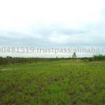 Building Lot Land-