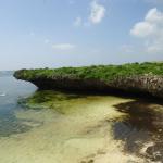 4.5 Acre Coral Beach Plot in Watamu, Kenya-001