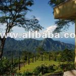 Beautiful Hillside Land In Eco Destination Flores Indonesia For Sale-