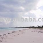 Land X Sale-