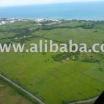 Panama Investment Opportunity-Prime Land with titlework
